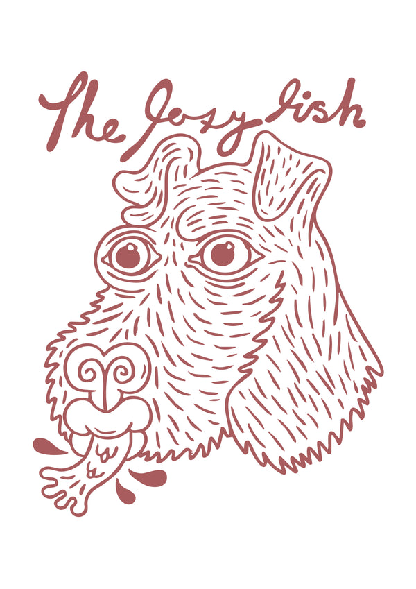 Foxy Fish
